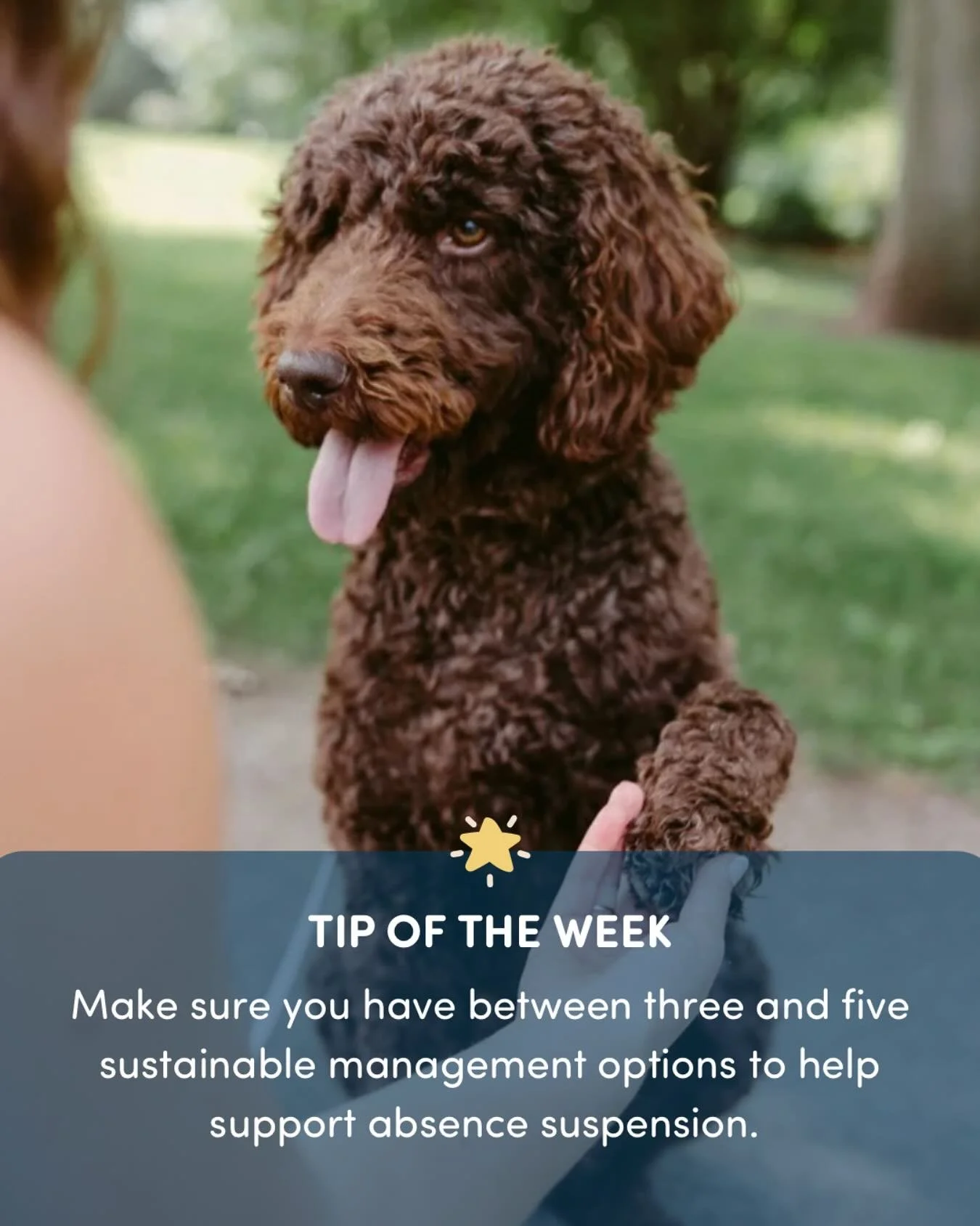 We are full of training tips that are supportive for separation anxiety dogs and their humans. This week&rsquo;s tip is about building a robust management system for your dog. Client burnout gets high when absence suspension is difficult. We put a lo