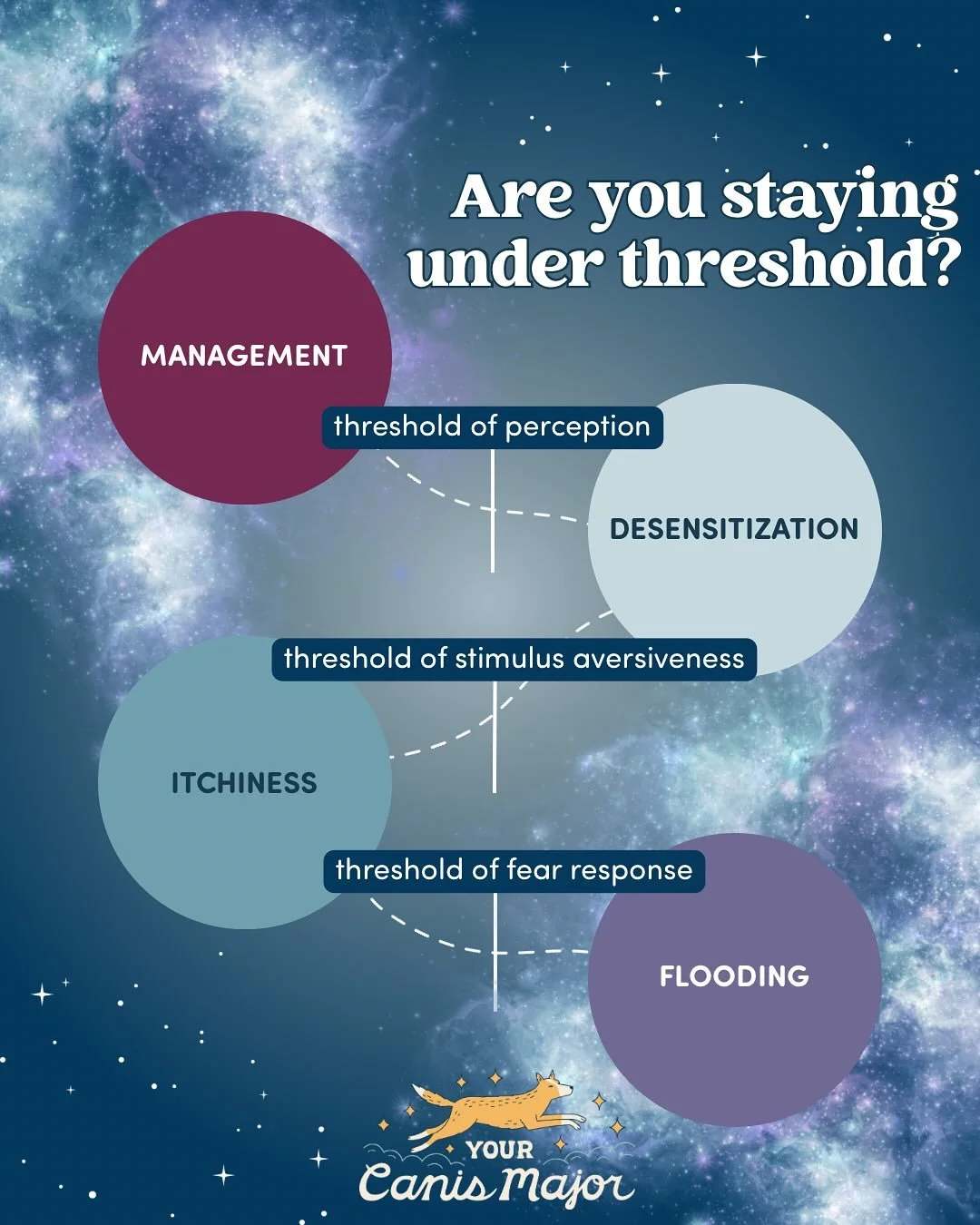 &ldquo;Threshold&rdquo; is a pretty vague term. Separation anxiety trainers advise guardians to keep their dogs under threshold during training. But what threshold do they mean? And what behaviors might a dog do when they are under threshold, at thre