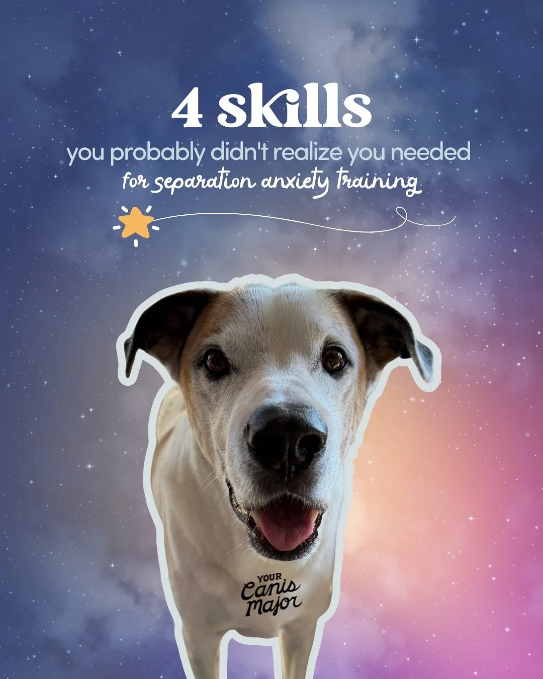 You&rsquo;ve probably done a lot of thinking about what your dog needs to succeed in separation anxiety training.

But what about you? There will be days when you&rsquo;re frustrated. When you&rsquo;re embarassed. When you feel like giving up.

What 