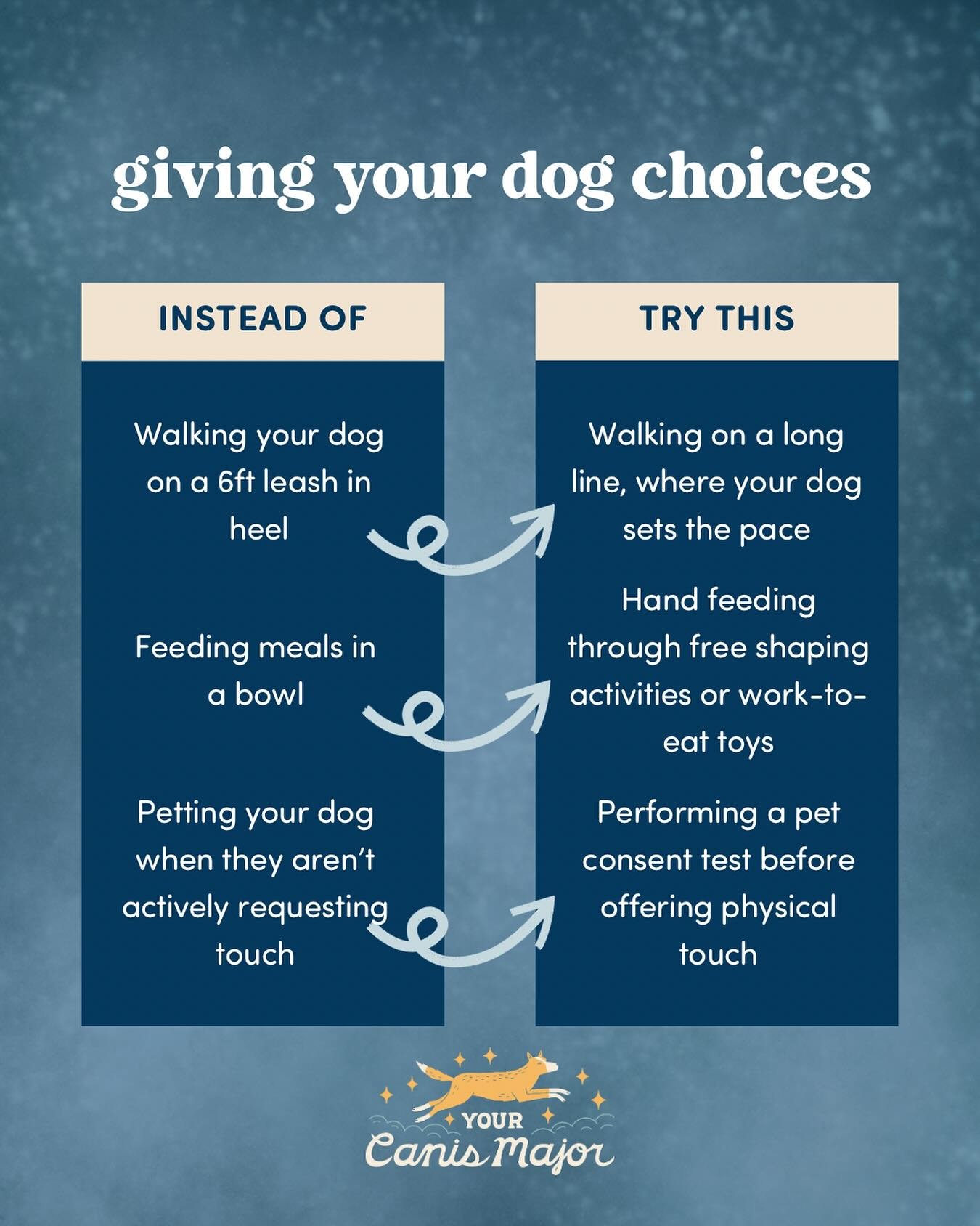 You make so many choices on behalf of your dog. It&rsquo;s part of the way things work when you&rsquo;re responsible for tiny creatures who probably can&rsquo;t be trusted with a lot of bigger decisions. Left to her own devices, my dog Lu would make 