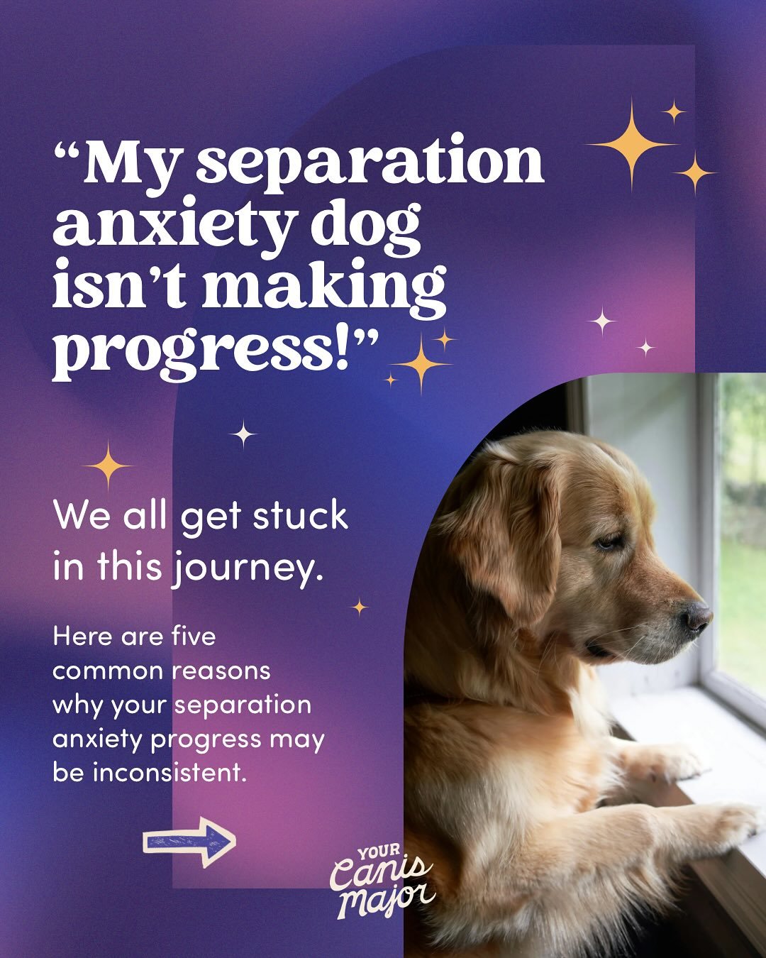 Everyone gets stuck in separation anxiety training at some point. There a loads of reasons why progress might be sticky, even if you&rsquo;re doing everything right. 

Swipe through for five common reasons we see slow/inconsistent progress with clien