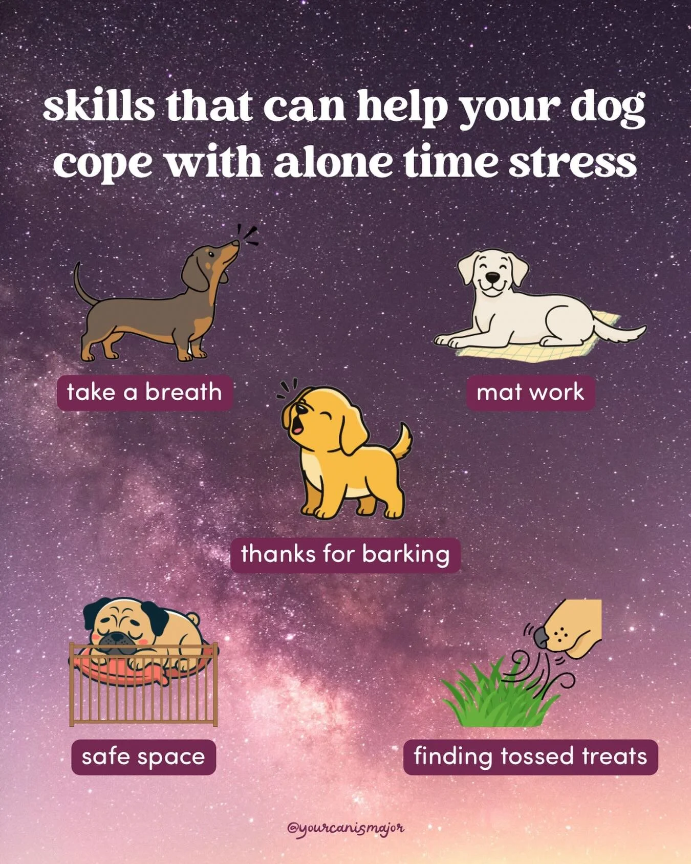 We love teaching dogs self-regulation skills OUTSIDE of alone time. It is so important that our dogs have coping skills they can access when they&rsquo;re stressed. And separation anxiety or not, as social animals separation is inherently stressful.
