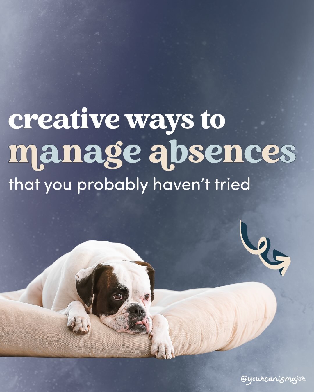 Management isn&rsquo;t synonymous with sitters or daycare. Management just means &ldquo;arranging the environment so that your dog doesn&rsquo;t keep rehearsing the behaviour.&rdquo; 

Total suspension of all absences can feel incredibly restrictive,