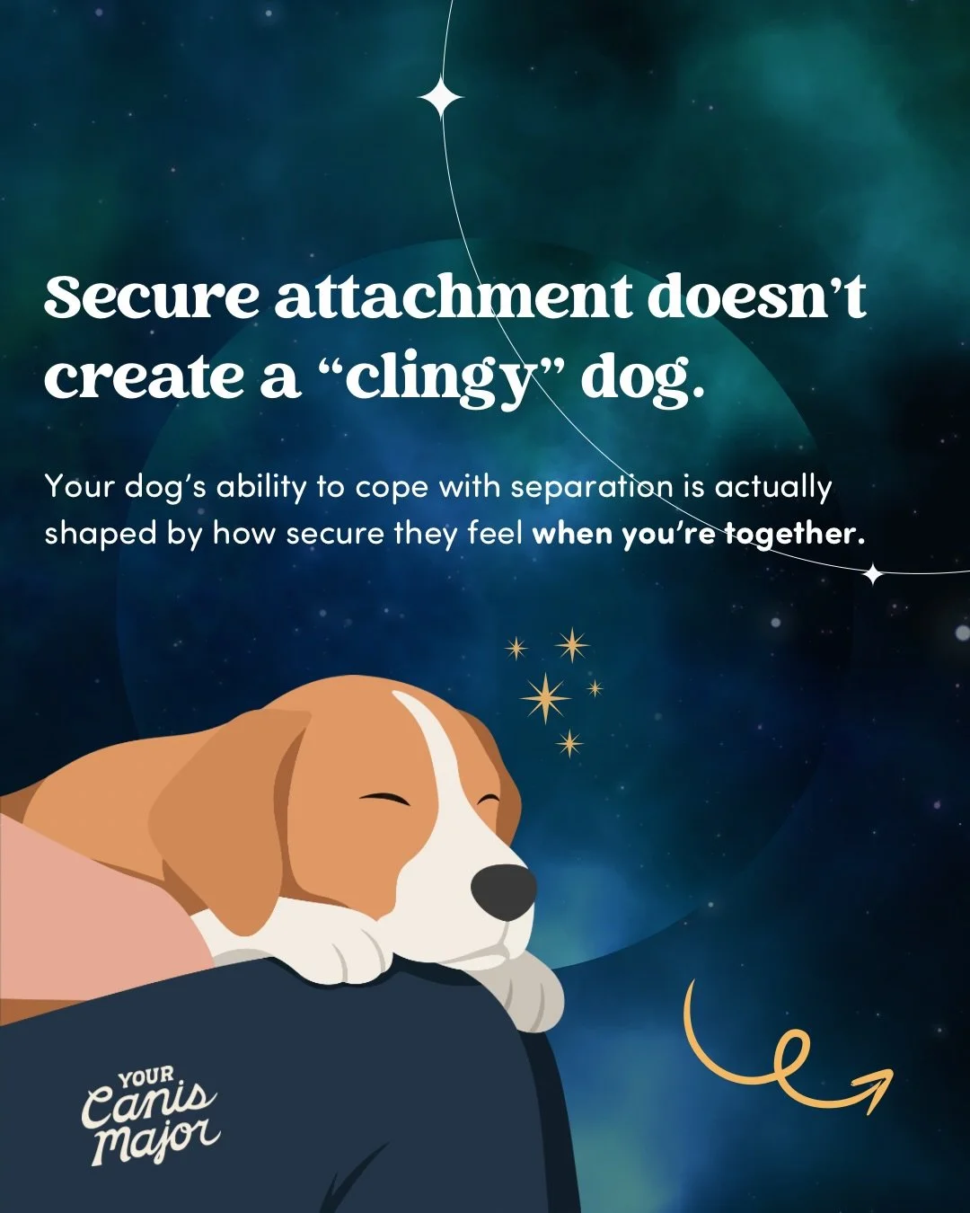 Secure attachment is often misunderstood in dog training spaces.

A dog who looks to you for safety, reassurance, or comfort is not automatically &ldquo;too dependent.&rdquo; And warmly responding to these needs won&rsquo;t reinforce their fear, stre