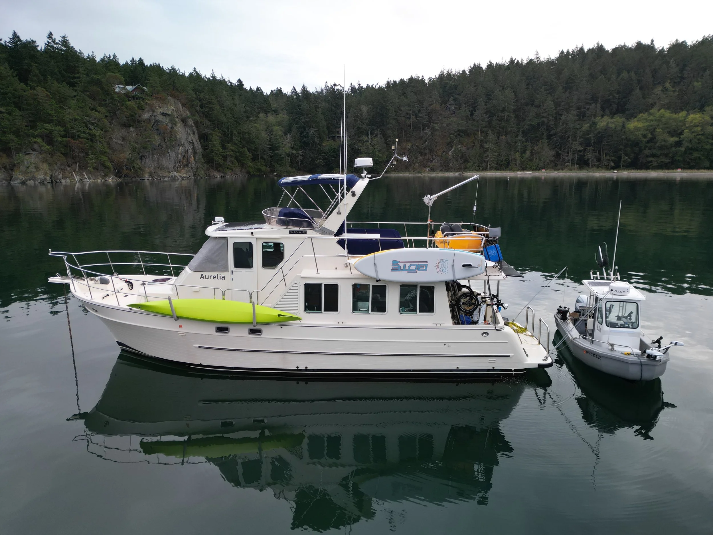 Aurelia is For Sale