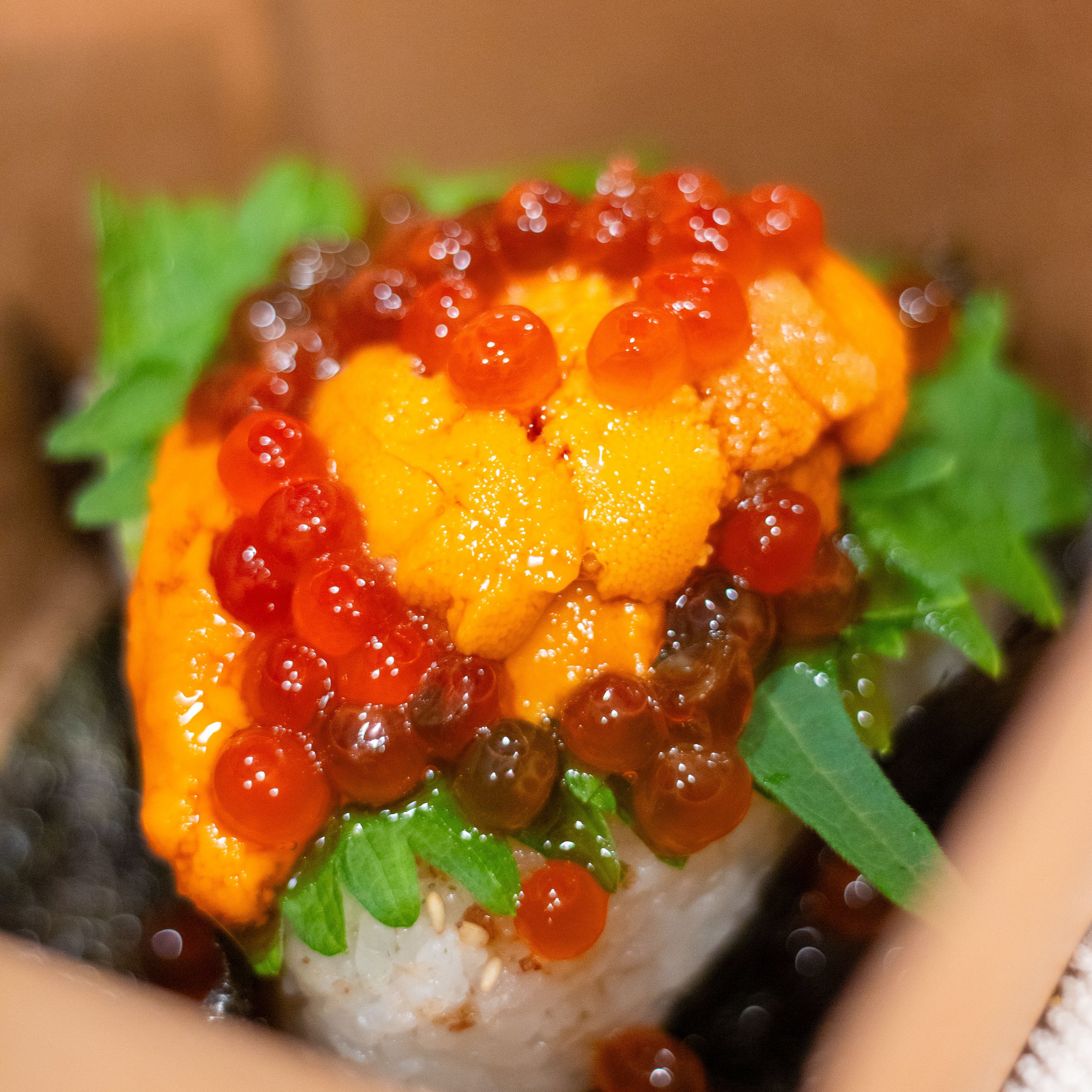 2026.2.7 Onigiri Photography-36.jpg