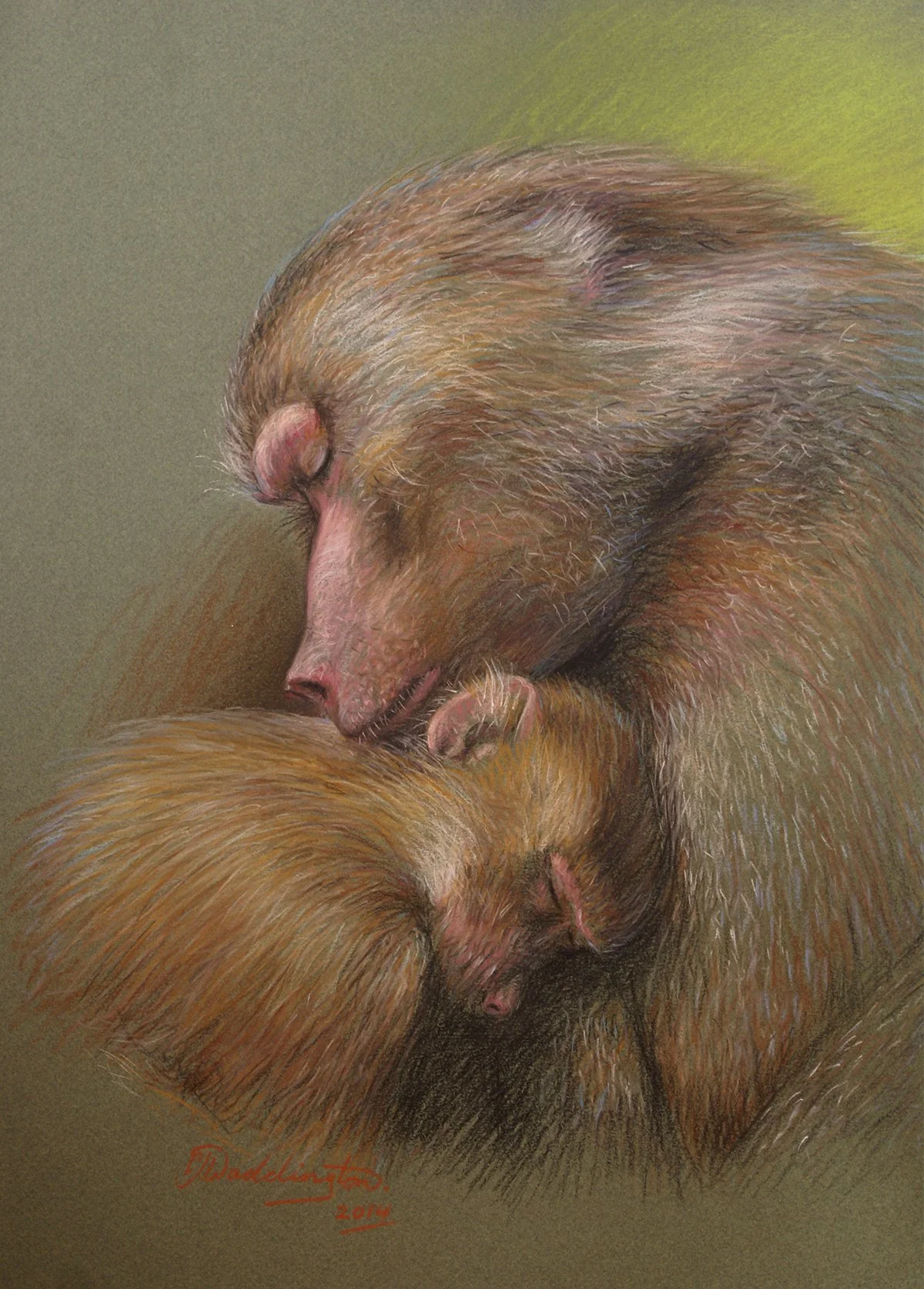 Tenderness, pastel on pastel paper,  signed PJ Waddington. Wellington Zoo Collection.