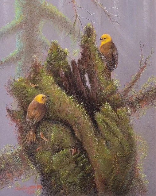 WILDLIFE WORKS BY PHILLIP WADDINGTON