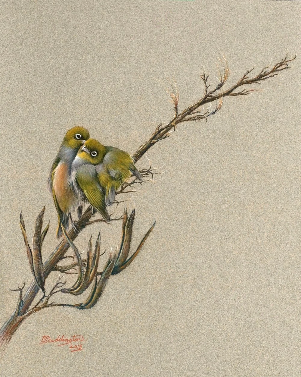 Preening Partners (Silvereyes), pastel on pastel paper, signed PJ Waddington. SOLD 2019 for $1,500.