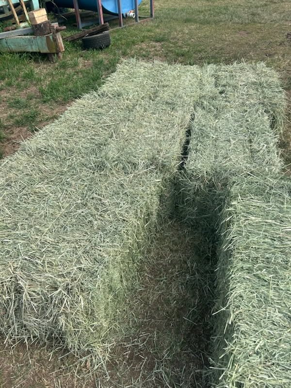 Rhodes Grass small bales (N.R.)