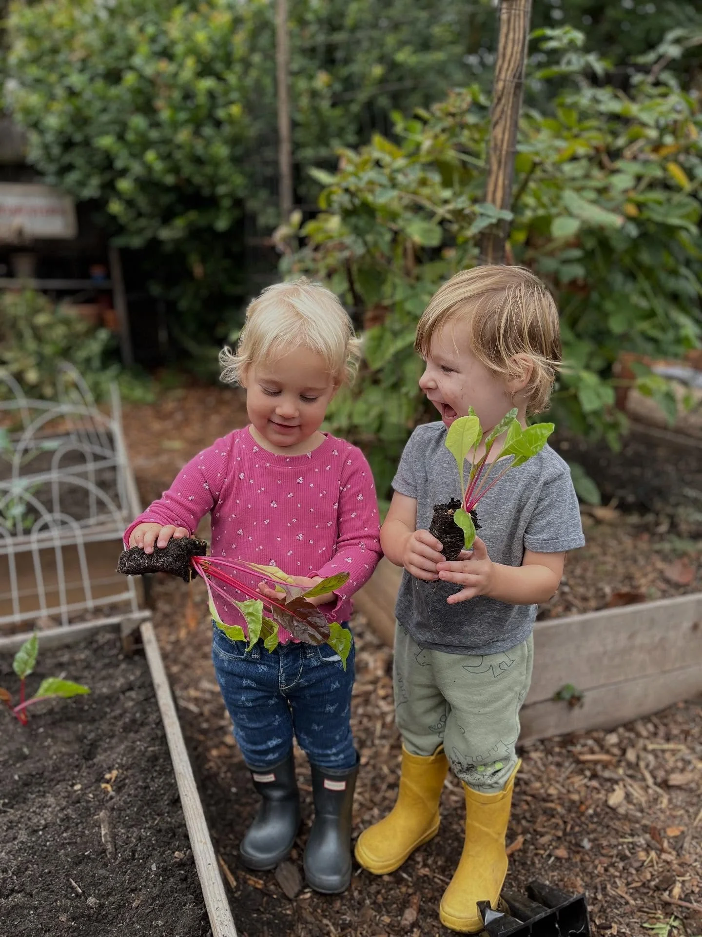 So many smiles today as we planted our winter garden 🌱 

The children have spent time imagining our garden fairies and how delighted they&rsquo;ll be to find cozy their new winter homes among the plants.

Gardening teaches us patience, care, and the