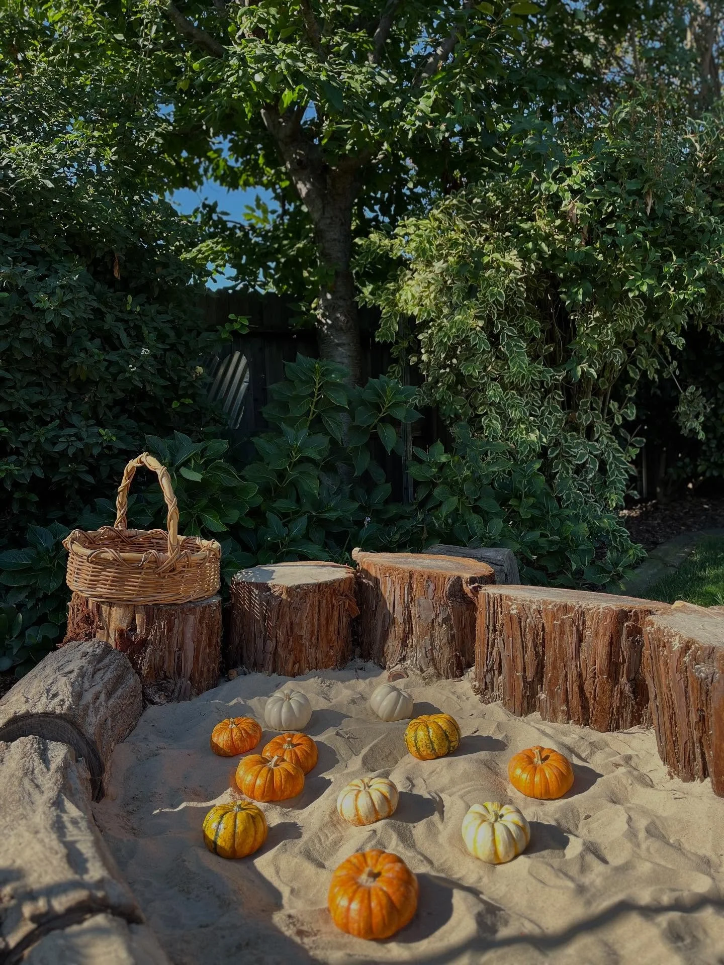 The River Roots Pumpkin Patch is officially open 🎃
