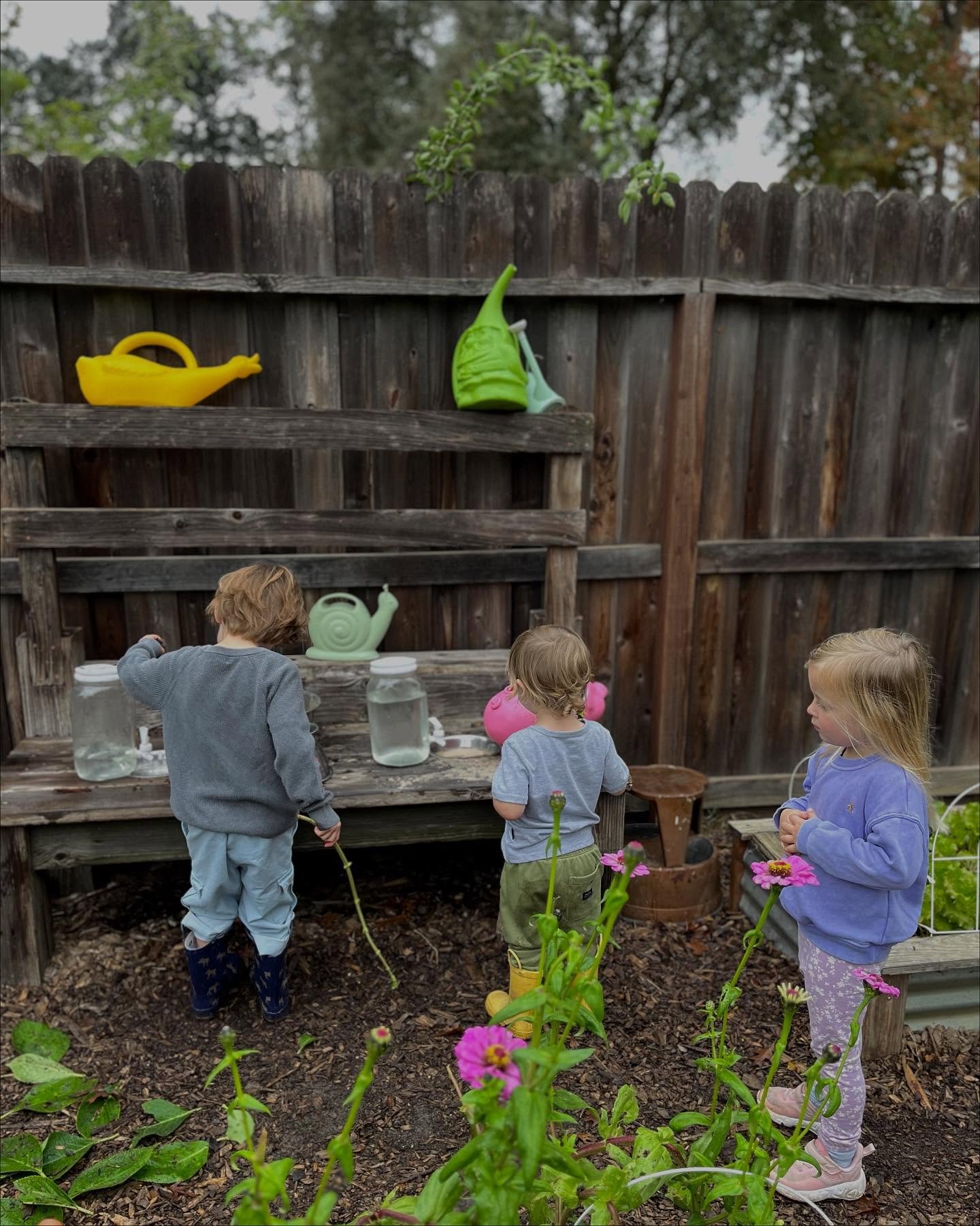 Morning fall potions in the making 🍁✨🍄