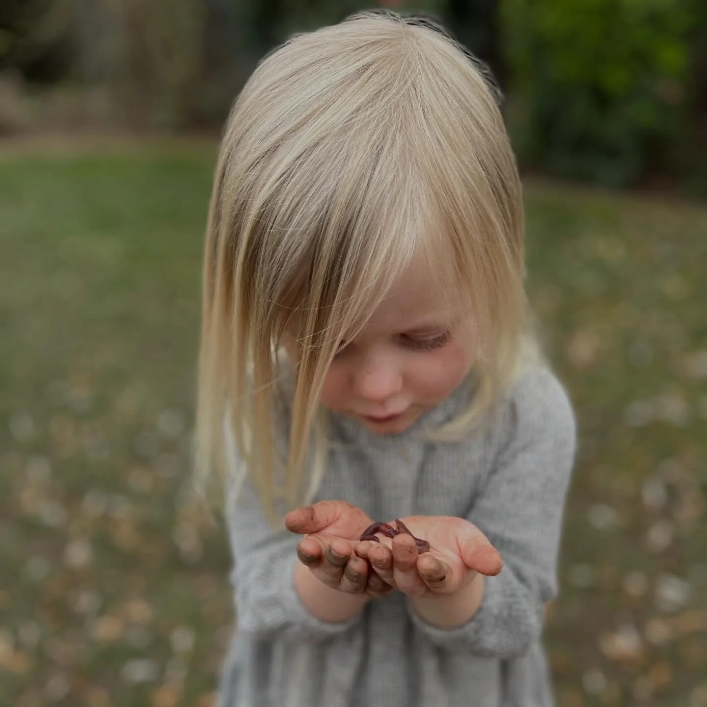 These is so much beauty and wonder to explore in the rain! The children have been noticing new textures and smells, finding worms, and admiring all the recently opened blossoms 🌧️🌸🌈