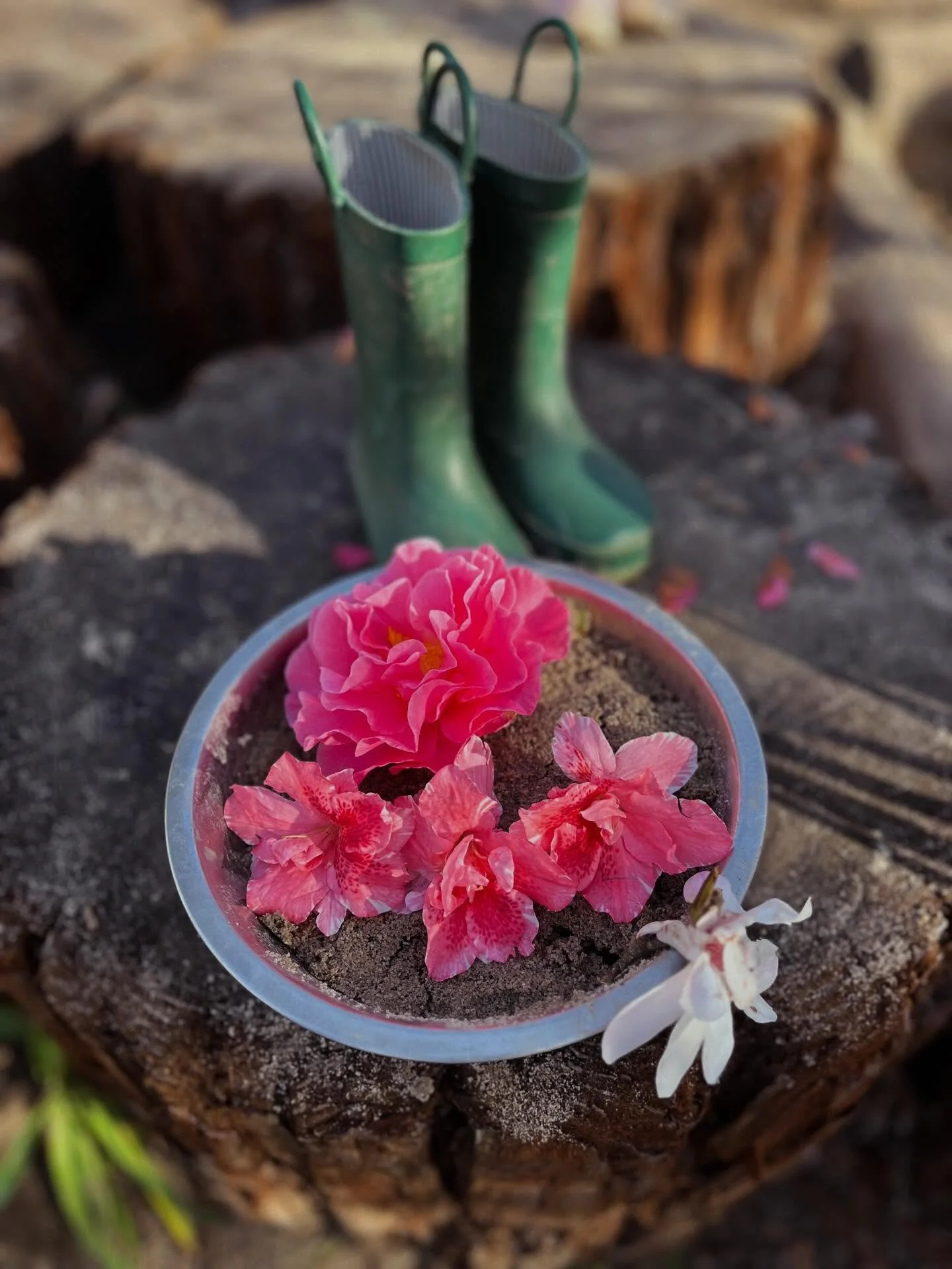 A winter cake 🍰🌸 Lots of intention and care was put into this beauty!