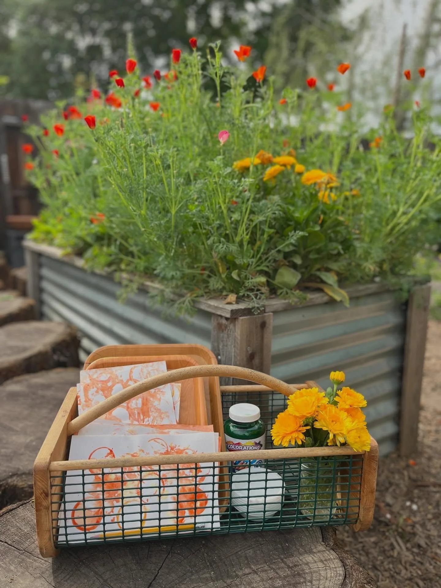 Art inspiration from our garden 🧡🎨🌱