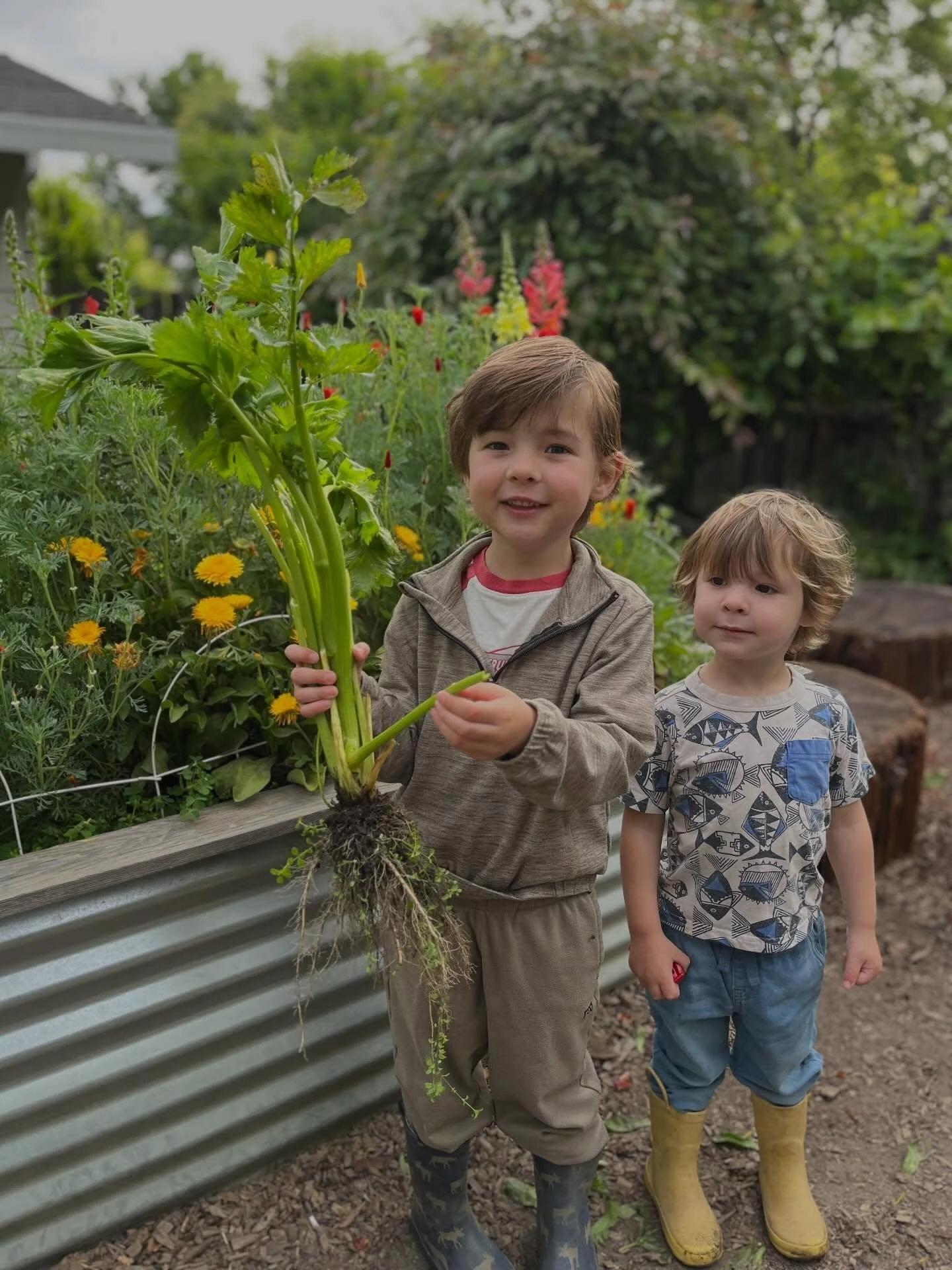 Our class experienced the full journey of growing celery&mdash;from planting and nurturing to harvesting. After all that care, we enjoyed afarm-to-table snack together🪏🪴 🏡