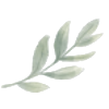 A white feather resting on a light surface