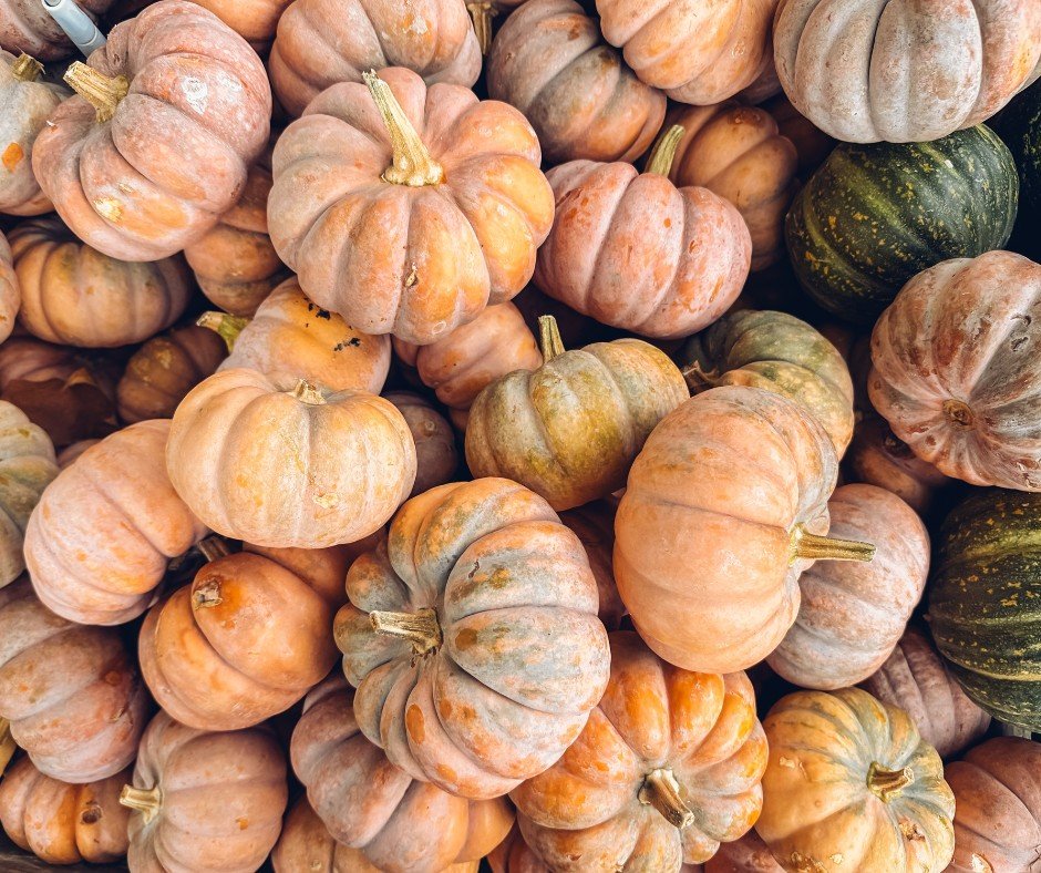 Turkey Trots, Superhero Days, Trivia Nights... there&rsquo;s no shortage of fun in Park Ridge this month! 🦃🦸&zwj;♂️🧠

Whether you're racing, crafting, strolling, or just soaking up fall vibes, November&rsquo;s community calendar is packed with som