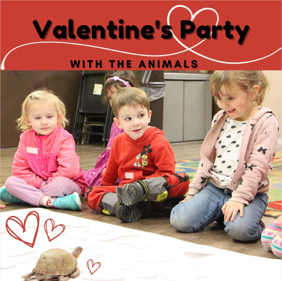 Valentine's Party with the Animals