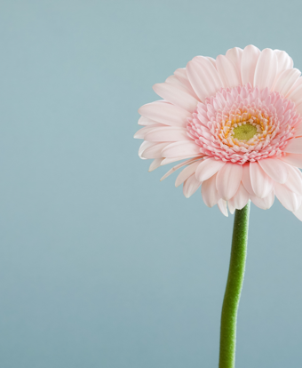 Park Ridge Garden Club Meeting