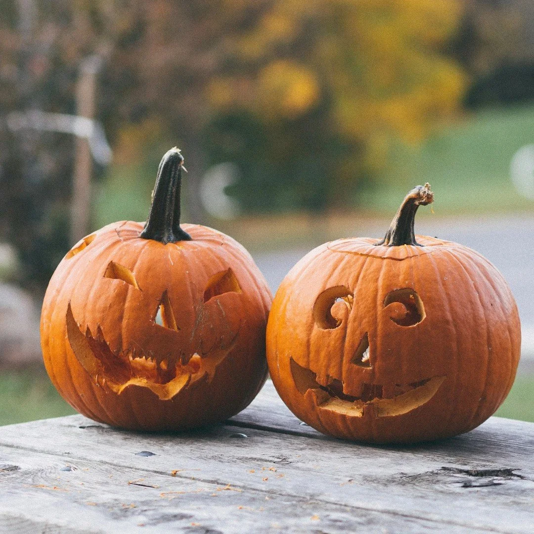 October is packed with ways to get out, connect, and enjoy Park Ridge! 🎃

From the Farmers Market and Healthy Kids Running Series to Halloween Hoopla, the Library Fall Book Sale, Stroll Park Ridge Monthly Coffee, and plenty of festive family fun, th