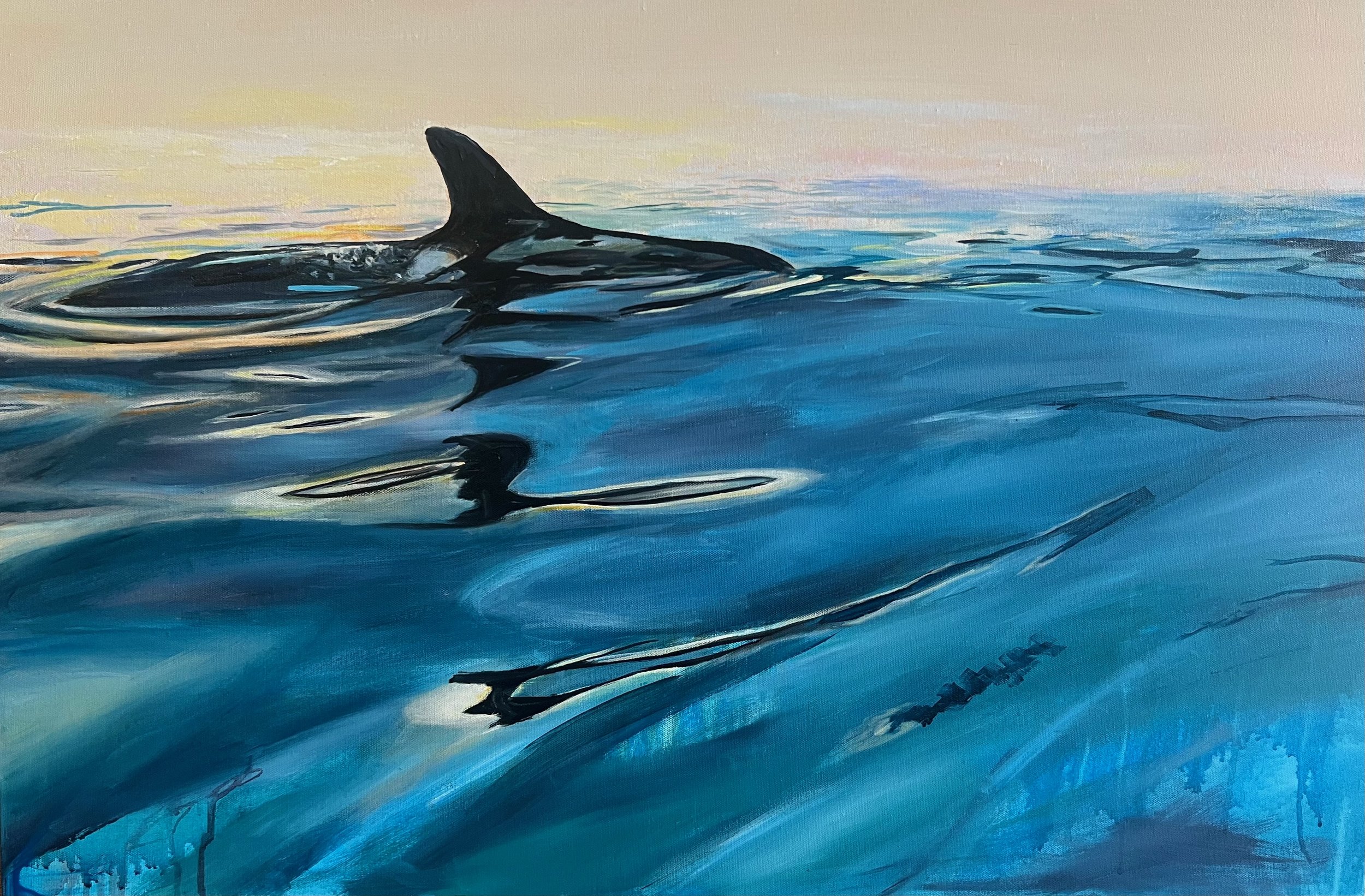 Orca