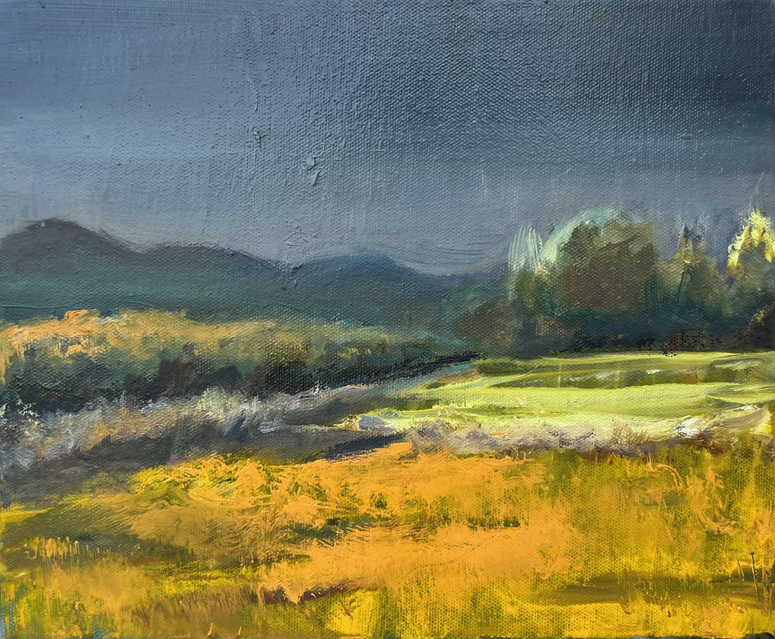 "Brewing" 12x10" oil on gallery wrapped canvas, $120