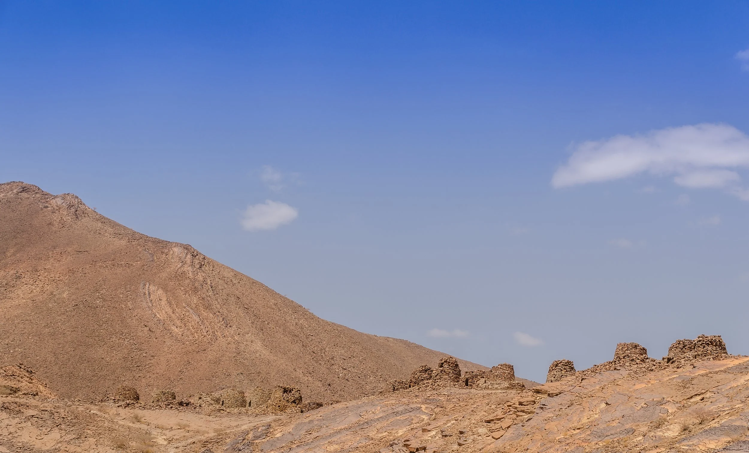 DSC_1056.jpg
