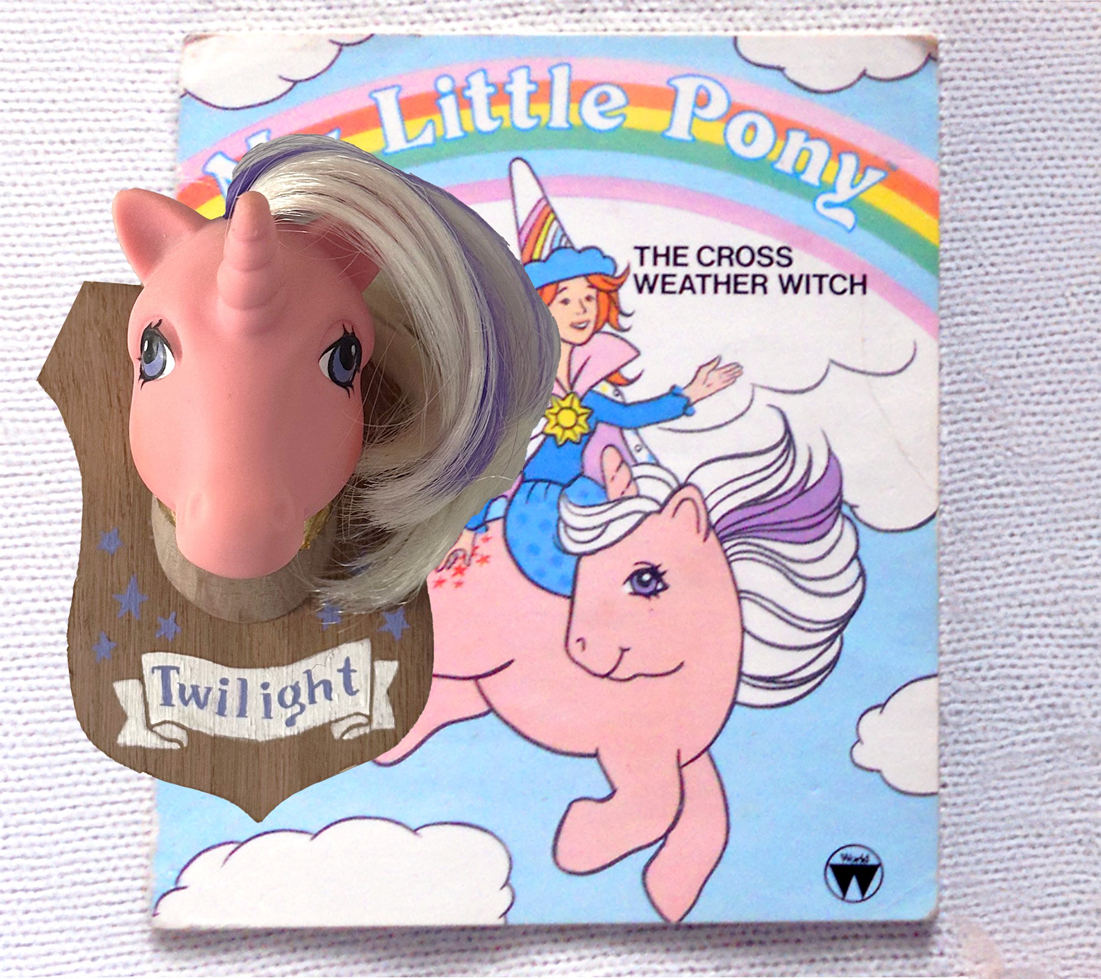 twilight book.jpg
