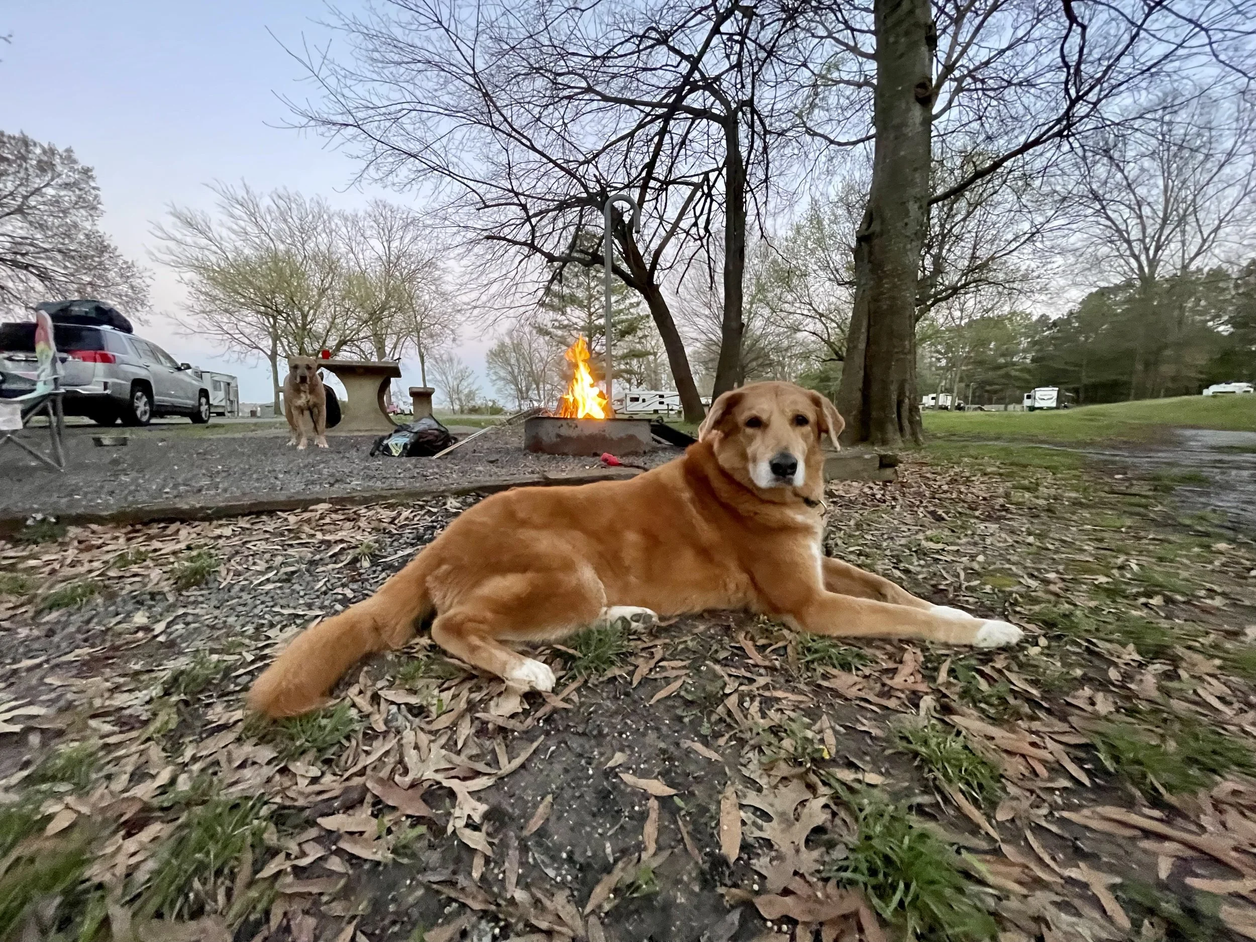 Our best boy.