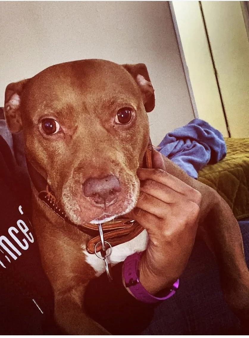 I’ll love you always FAT GIRL 🐶🐾