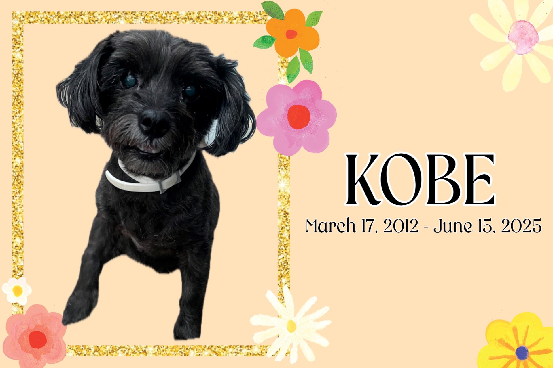 My precious Kobe, you were heaven sent and I'm torn on what's next. You stayed by my side every step of the way in the great times and our ruff ruff ones. 6-months ago for the first time in over 10 years have I felt myself now God is calling you. Mis