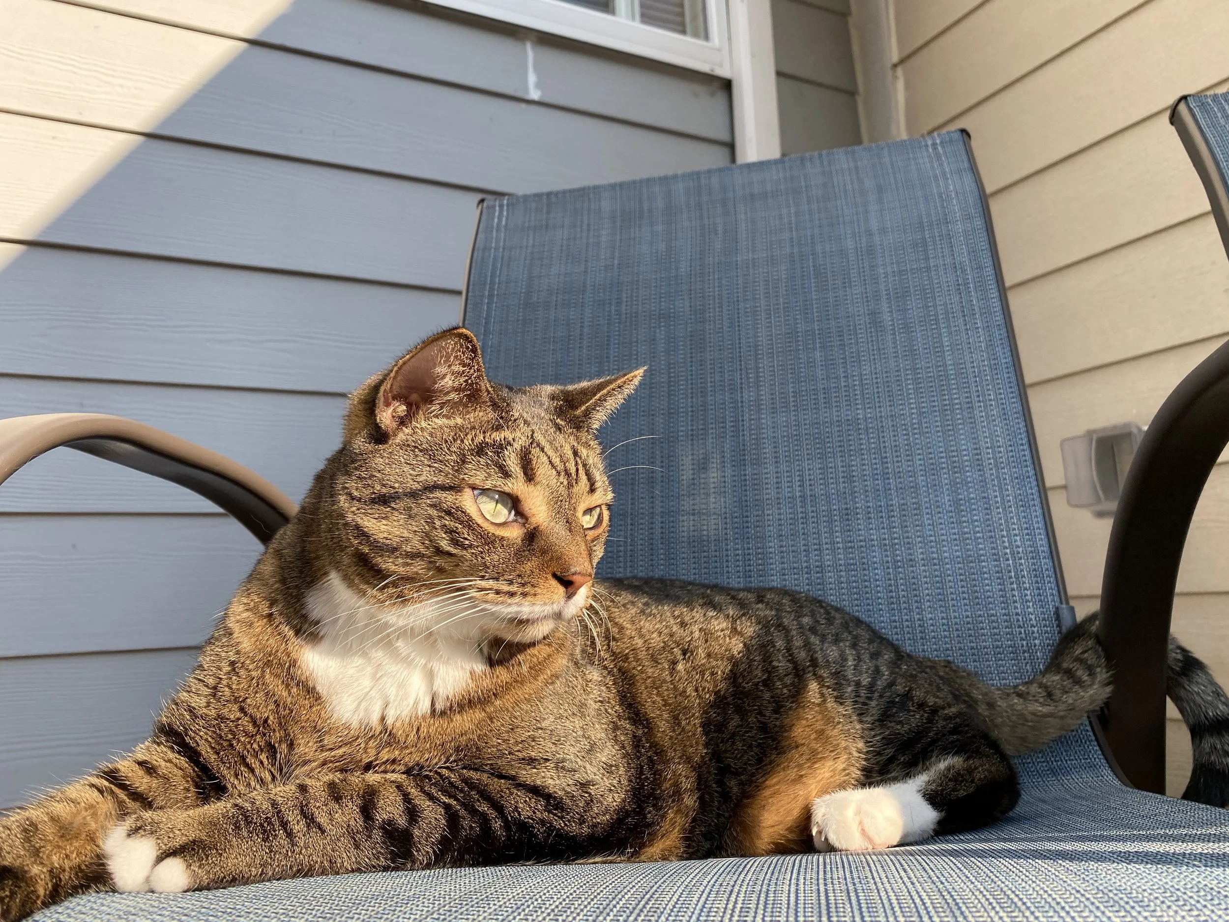 Daniel Devito was thoroughly and deeply loved by everybody who met him. He charmed people with his pension for loving food, and his beautiful personality. After escaping floodwaters in Kentucky in 2009, he spent half a year walking from Kentucky to N