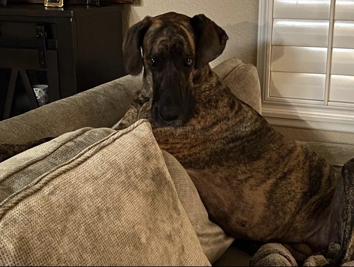 Best side eye ever. I will always love you Kiara.