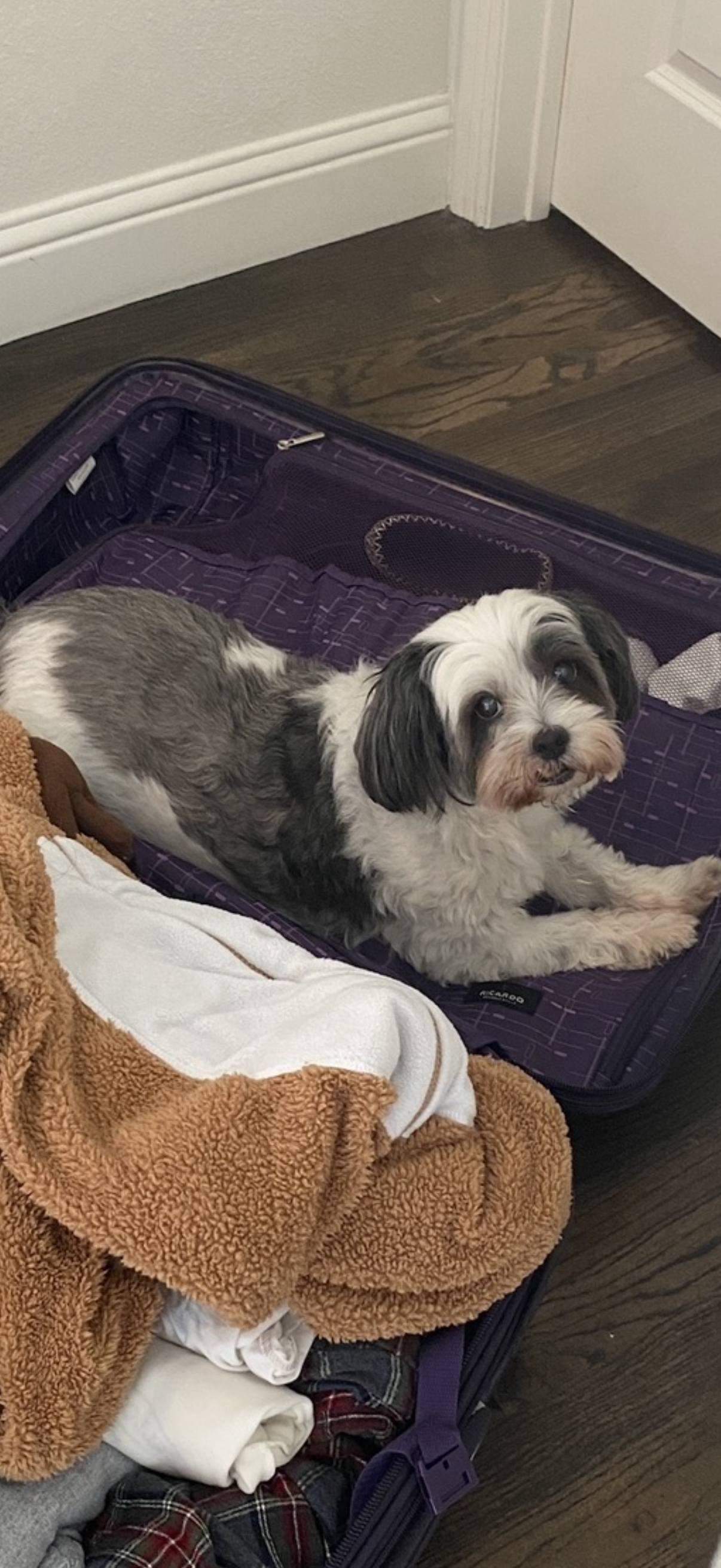 Our sweet, sassy, Sloppy Mo, we love you forever Mosey Wosey