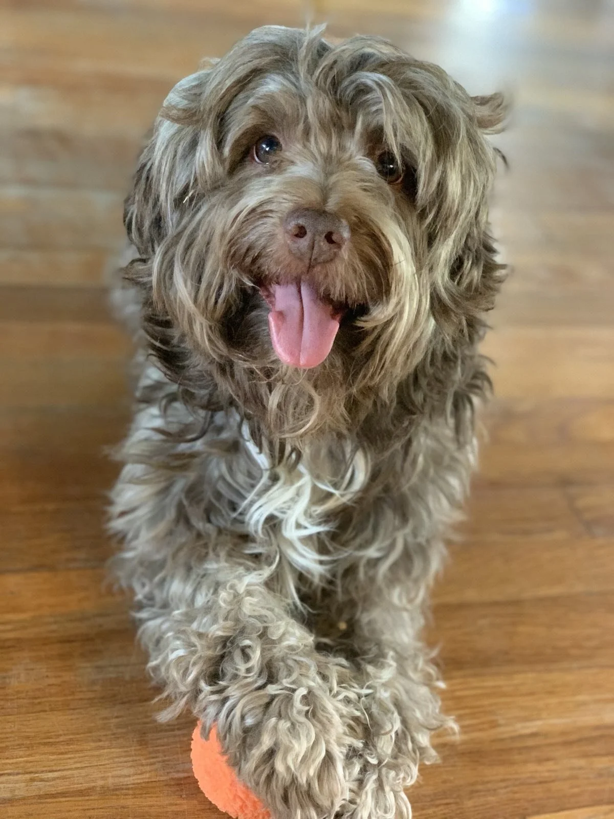 thanks for the wonderful memories Chico!