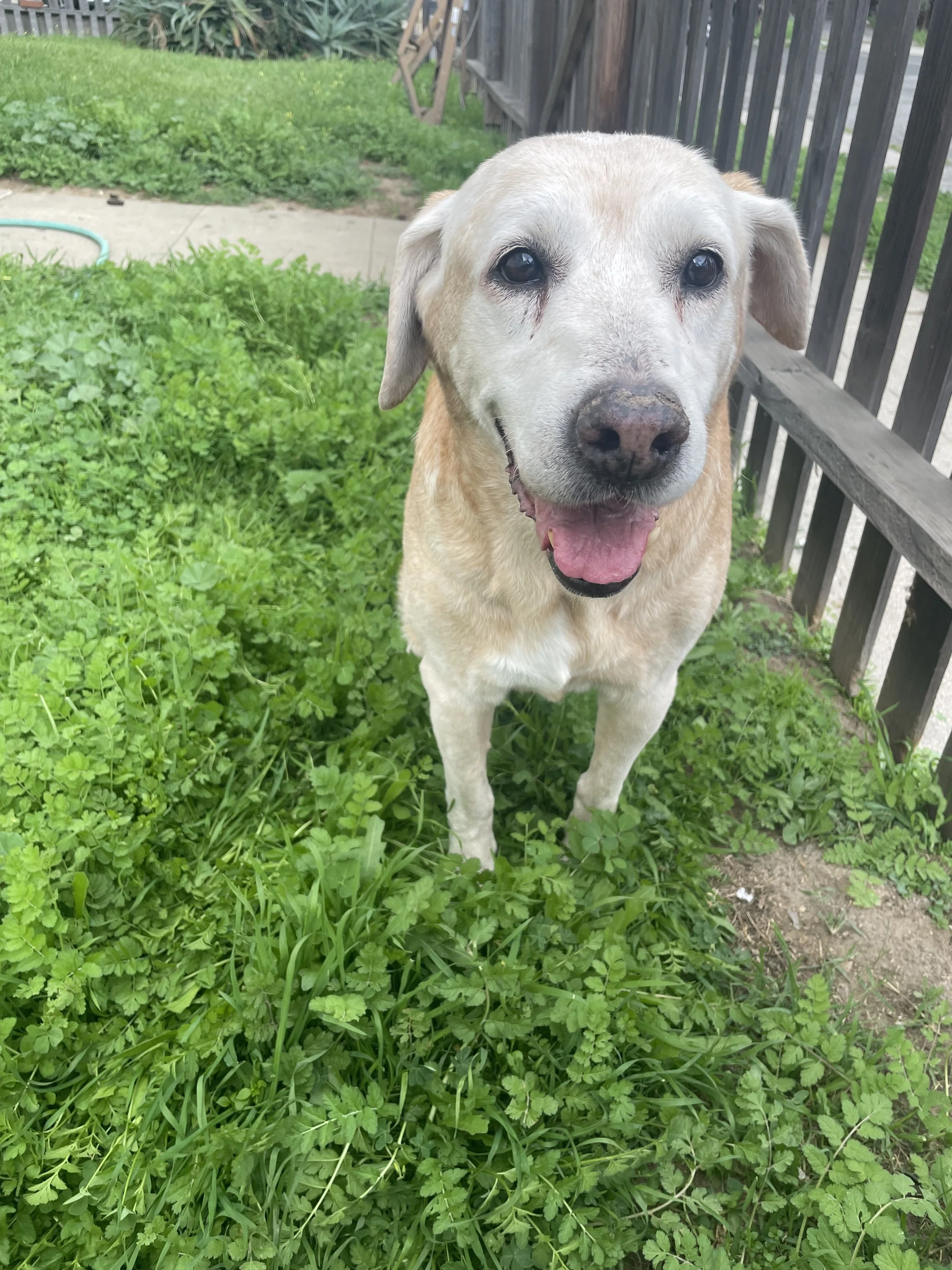 Thank you, Jack. You will live forever in my heart.