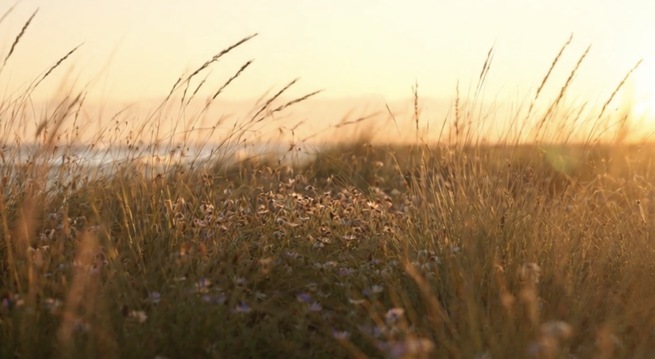 Screenshot 2025-10-24 at 10.21.06 pm.png