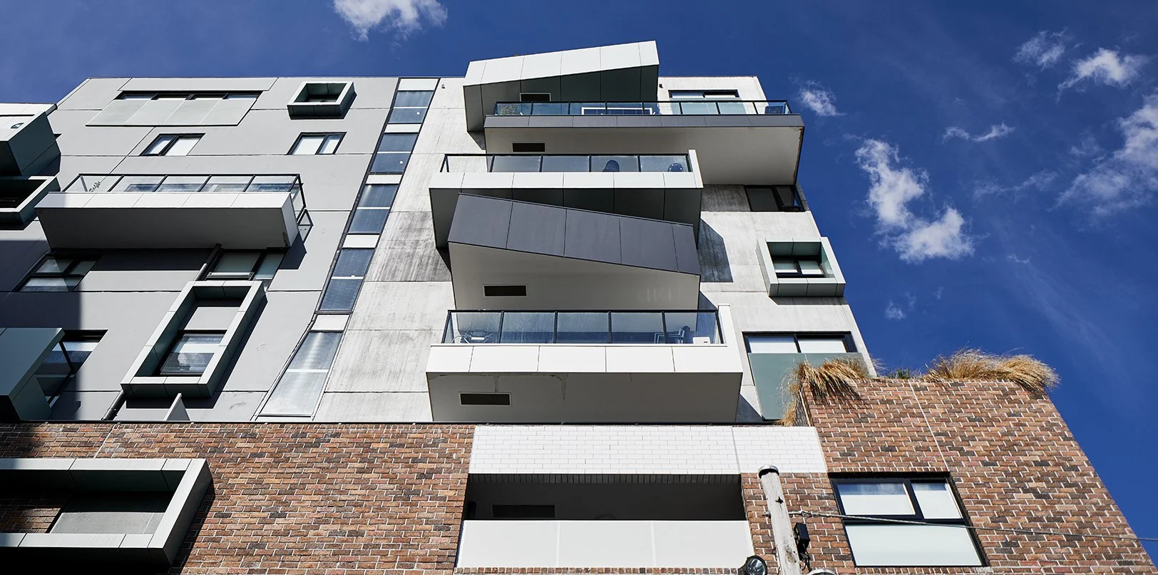 Montrose Hawthorn Panplan