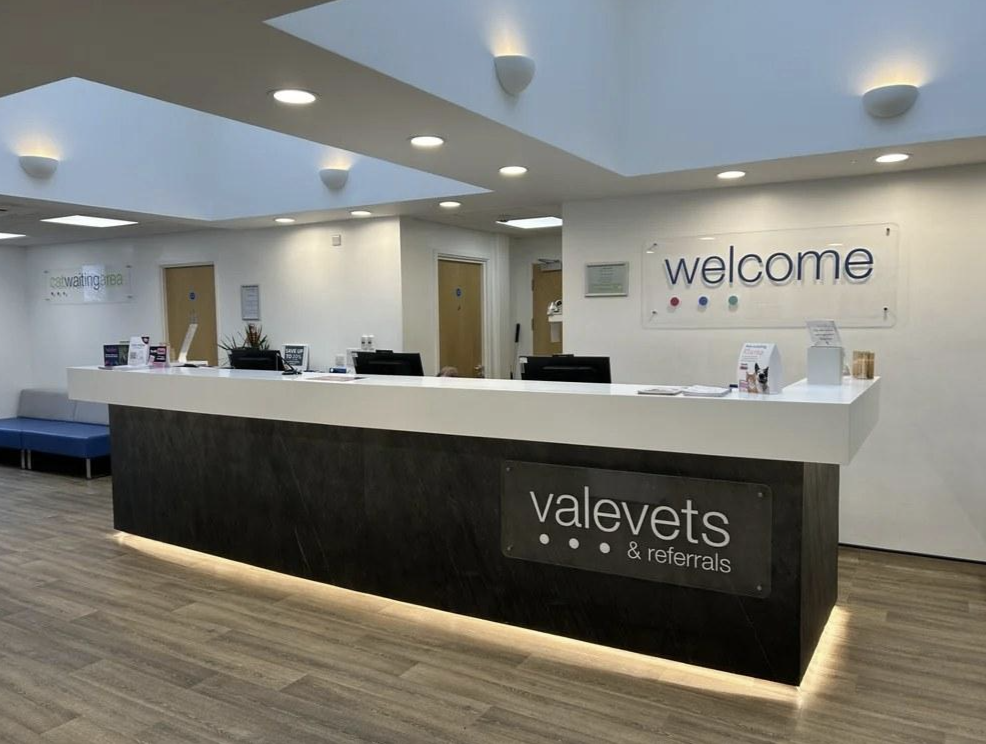 A Guide to Designing a Small Veterinary Clinic