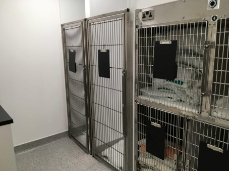 Veterinary ward cage banks