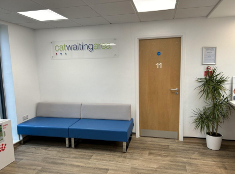 Cat waiting area in a veterinary practice