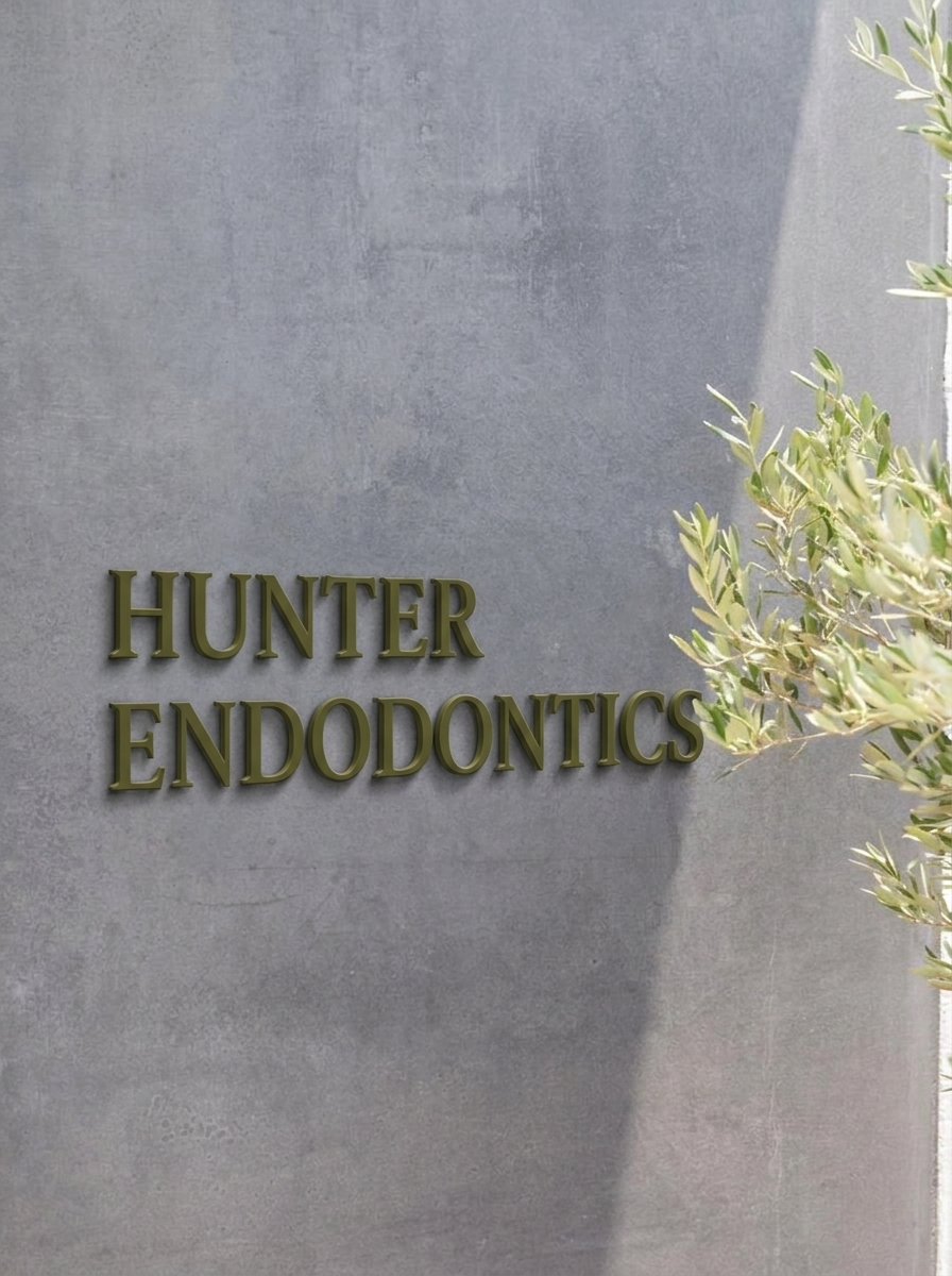 Sign reading 'Hunter Endodontics' on a concrete wall with a shadow and a plant on the right side.
