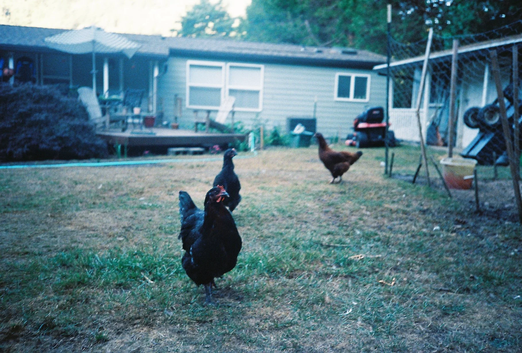 IMG-4604.JPG