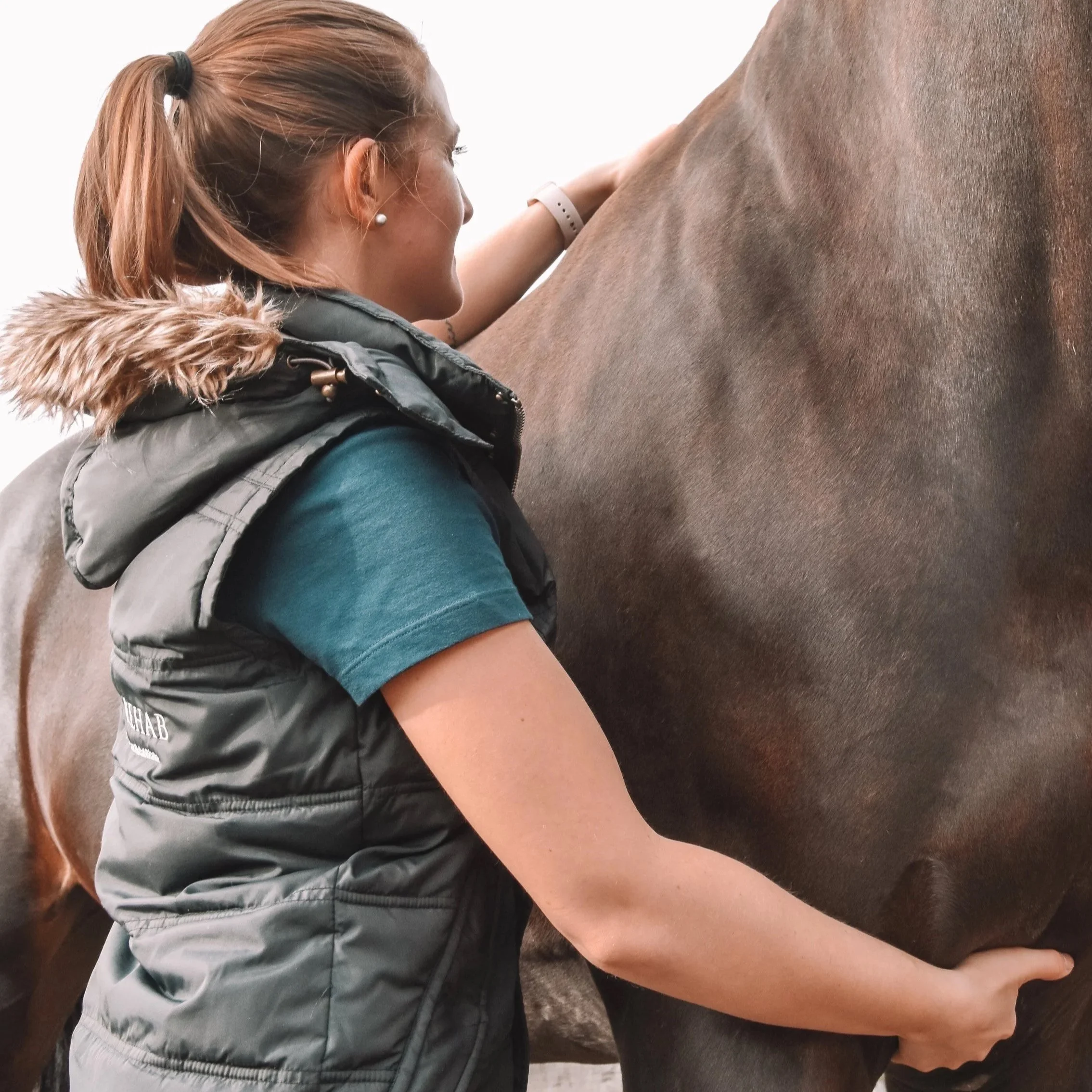 Pferdetherapeutin von Equi-Rehab führt eine physiotherapeutische Behandlung am Pferd durch.