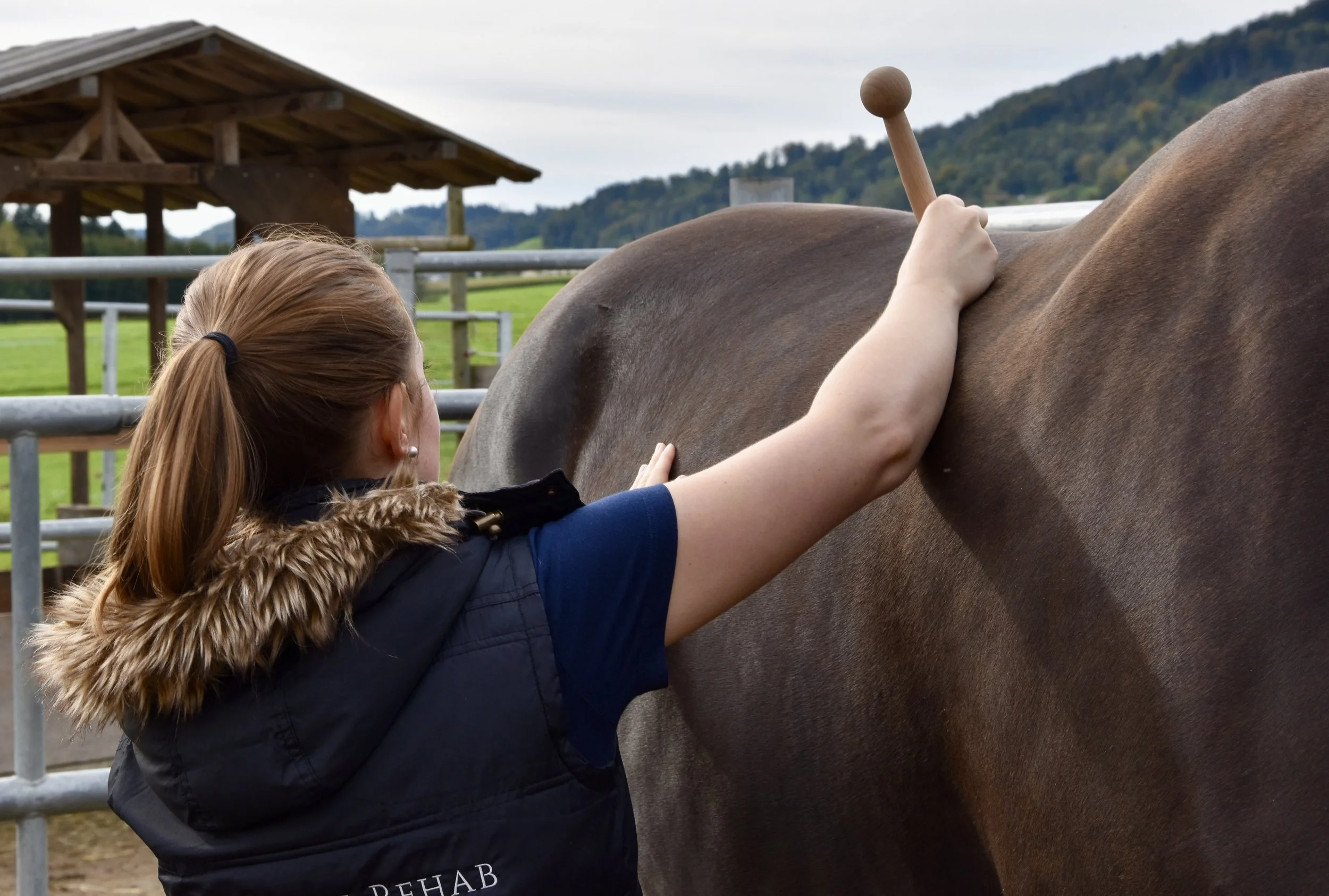Pferdetherapeutin behandelt Rücken eines Pferdes.