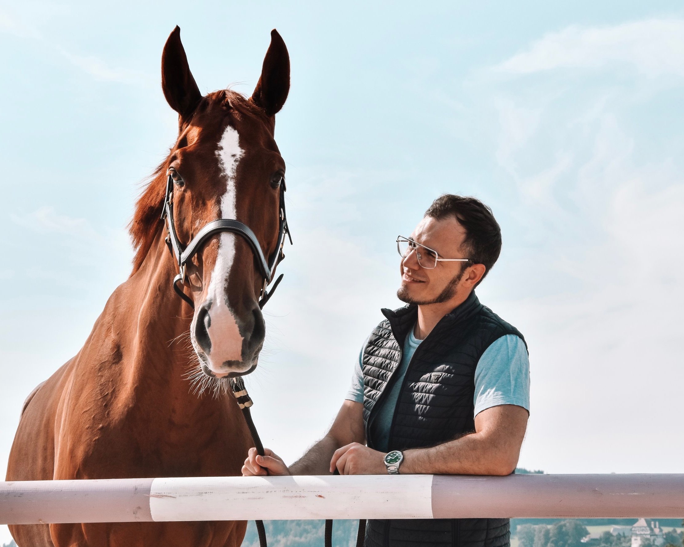 Ernährungsexperte für Pferde