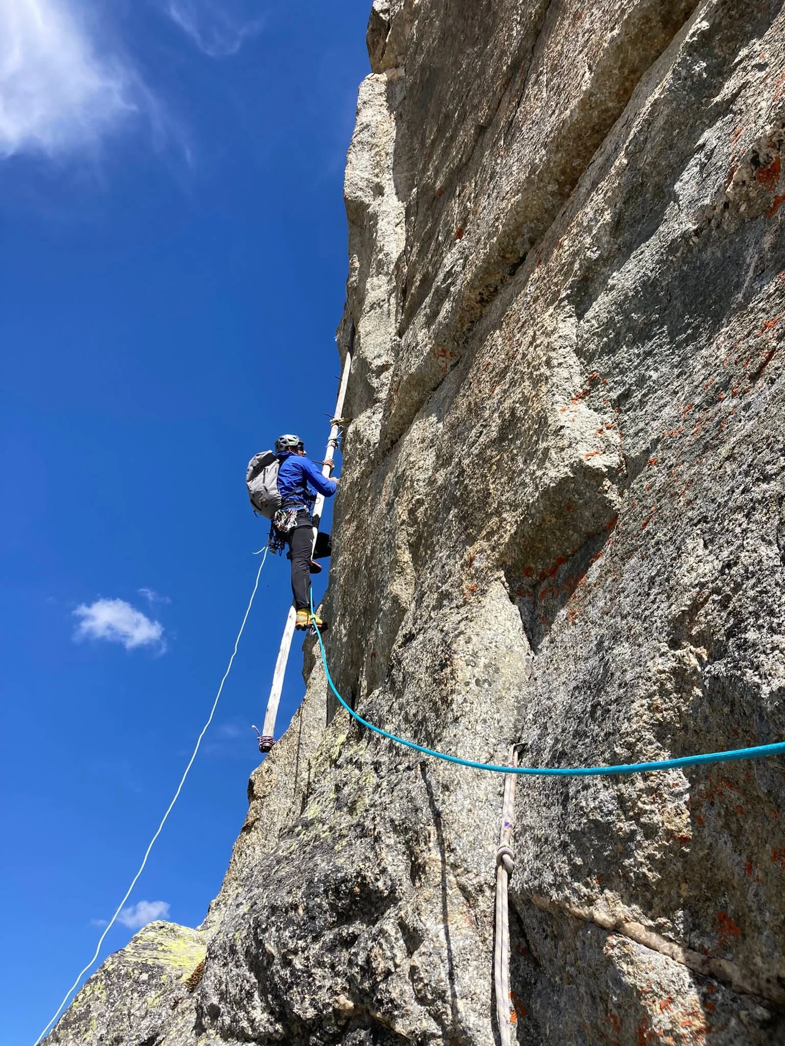 705e1fbb-b3a7-43ab-8434-c4afc50ade6e.jfif