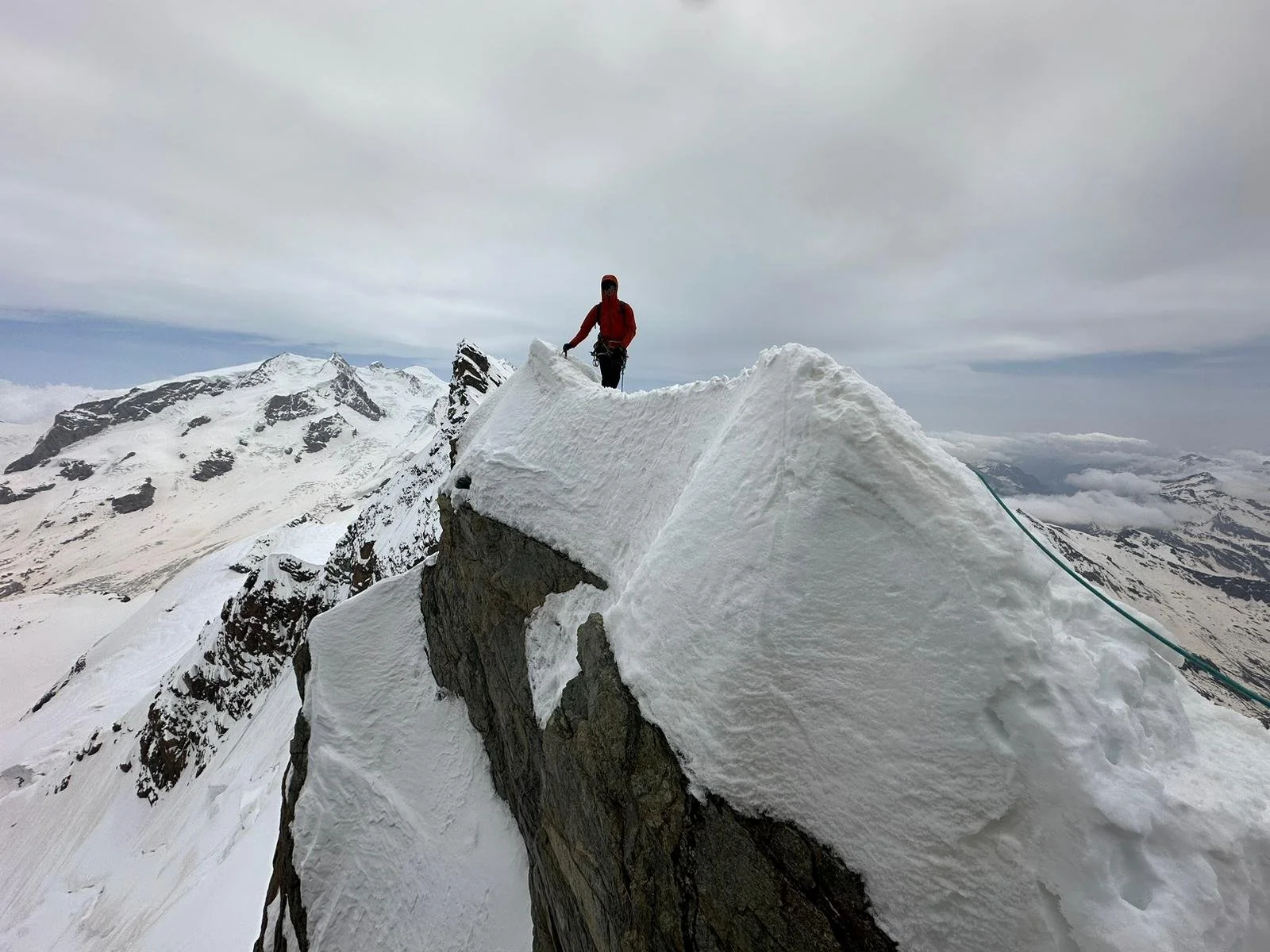 1f28f779-5f0a-40eb-884c-7e46ba1954a8.jfif